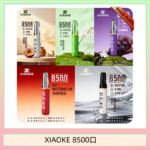 梟客XIAOKE一次性電子菸拋棄式8500口